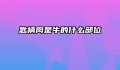 匙柄肉是牛的什么部位