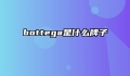bottega是什么牌子