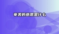 审美的意思是什么