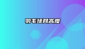 羽毛球网高度