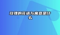 玫瑰的花语与寓意是什么