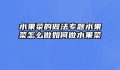 水果菜的做法专题水果菜怎么做如何做水果菜