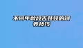 不同年龄段吉娃娃的饲养技巧