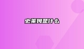 史莱姆是什么