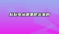 黏黏虫从哪里爬出来的