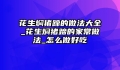 花生焖猪蹄的做法大全_花生焖猪蹄的家常做法_怎么做好吃