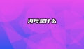 海母是什么