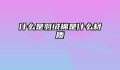 什么是羽绒棉是什么材质
