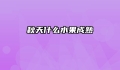 秋天什么水果成熟