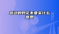 路边的野花不要采什么意思