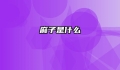 麻子是什么