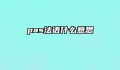 pas法语什么意思