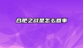 合肥之战是怎么回事
