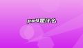 po4是什么