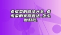 老虎菜的做法大全_老虎菜的家常做法_怎么做好吃.