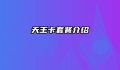 天王卡套餐介绍