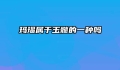 玛瑙属于玉髓的一种吗