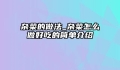 杂菜的做法_杂菜怎么做好吃的简单介绍