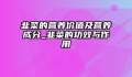 韭菜的营养价值及营养成分_韭菜的功效与作用