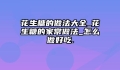 花生糖的做法大全_花生糖的家常做法_怎么做好吃.