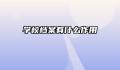 学校档案有什么作用
