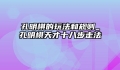 孔明棋的玩法和规则_孔明棋天才十八步走法