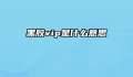 黑胶vip是什么意思