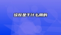 琼胶是干什么用的