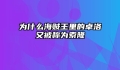 为什么海贼王里的卓洛又被称为索隆