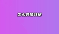 怎么养殖牡蛎