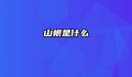 山根是什么