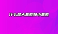 什么是大基数和小基数