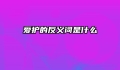 爱护的反义词是什么