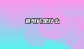 色母片是什么