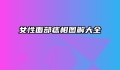 女性面部痣相图解大全