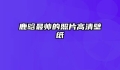 鹿晗最帅的照片高清壁纸