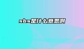 sbs是什么意思啊