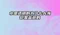 水是透明的为什么大海却是蓝色的