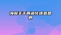 海贼王千两道化啥意思啊