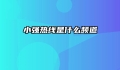 小强热线是什么频道