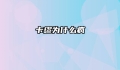 卡缪为什么疯