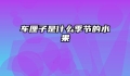 车厘子是什么季节的水果