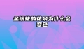 金银花的花朵为什么会变色