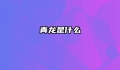 青龙是什么