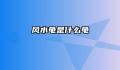 风水龟是什么龟