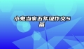 小鬼当家五年级作文5篇