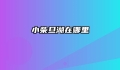 小柴旦湖在哪里