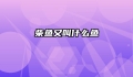 柴鱼又叫什么鱼