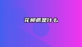 花柳病是什么