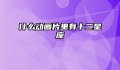 什么动画片里有十二星座